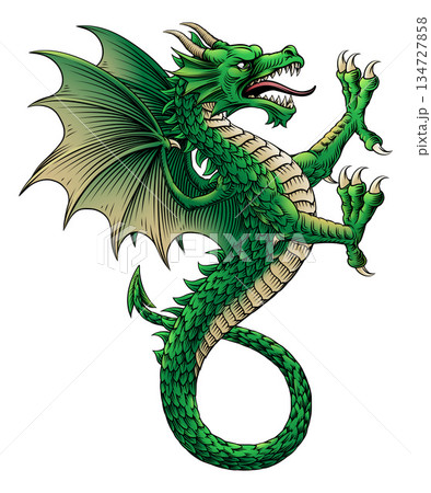 Heraldry Wyvern Heraldic Coat of Arms Dragon 134727858
