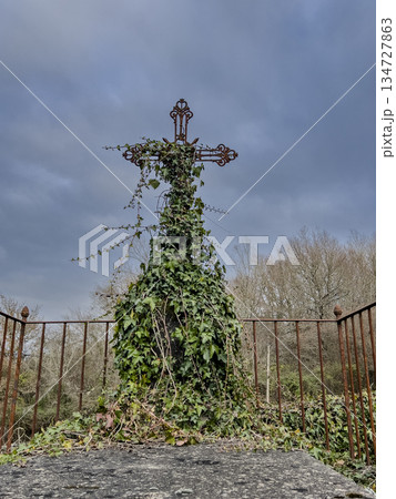 Natural background of the old cemetery. catholic or christian tombstone entwined with ivy and grass Natural background of the old cemetery. catholic or christian tombstone entwined with ivy and grass 134727863