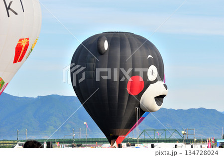 熱気球・バルーン 熱気球・バルーン 134728024