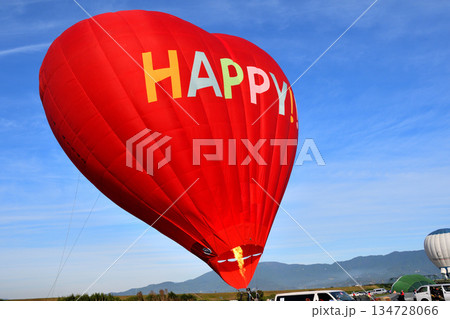 熱気球・バルーン 熱気球・バルーン 134728066