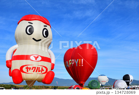 熱気球・バルーン 134728069