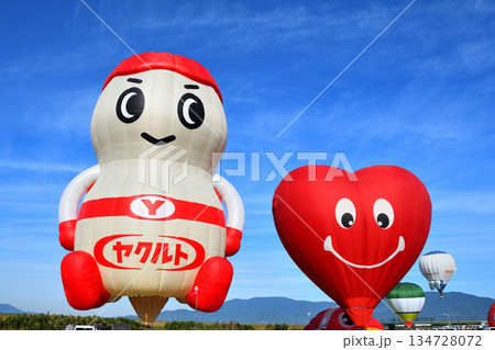 熱気球・バルーン 134728072
