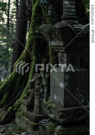 《苔むした石灯籠と石仏が佇む山中の信仰空間》 《苔むした石灯籠と石仏が佇む山中の信仰空間》 134728363