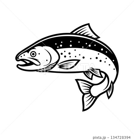 trout fish mascot logo vector design template modern style trout fish mascot logo vector design template modern style 134728394