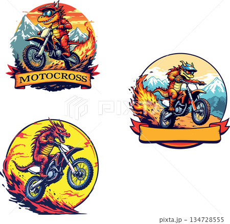 Vsai dragon characters riding motocross motorcycles with flames 134728555