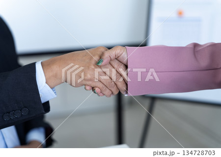 Senior businessman and businesswoman shaking hands to agree on business or congratulate Senior businessman and businesswoman shaking hands to agree on business or congratulate 134728703