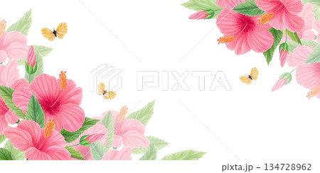 Floral corner composition with pink tropical hibiscus flowers, green leaves and yellow butterflies. Watercolor botanical border. 134728962