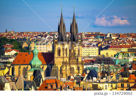 Church of Our Lady before Tyn in Prague Old Town 134729002