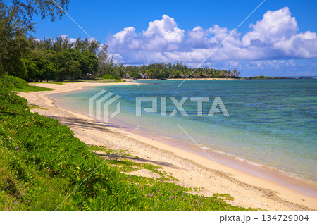 St. Felix Public Beach in Southern Mauritius 134729004