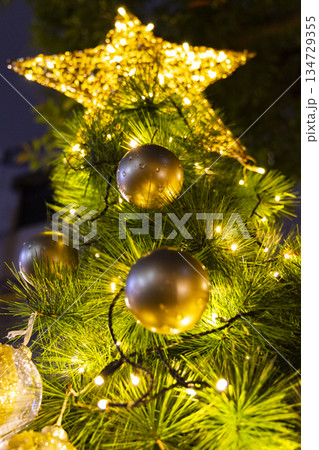 クリスマス xマス ｘマス 134729355