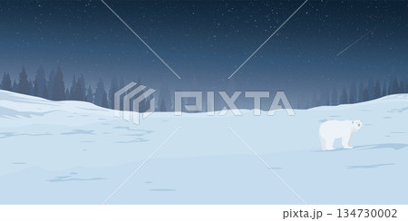 Winter landscape at night with lonely Polar bear covered by white snow have silhouette pine forest and starry sky background graphic illustration. 134730002