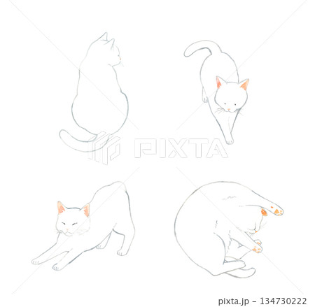 かわいい白猫のセット　ペット・動物の手描き水彩イラスト素材 134730222