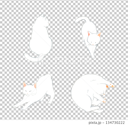 かわいい白猫のセット　ペット・動物の手描き水彩イラスト素材 134730222