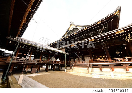 京都府 東本願寺・御影堂(重要文化財) 京都市 下京区 常葉町 2022年2月 京都府 東本願寺・御影堂(重要文化財) 京都市 下京区 常葉町 2022年2月 134730311