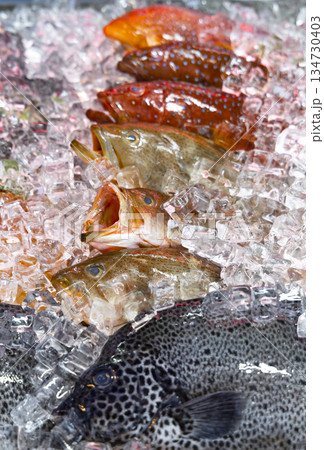 魚介類 シーフード 海の幸 134730403