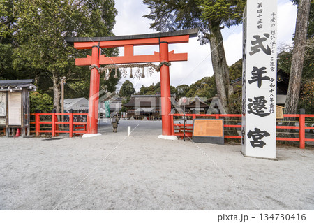 冬の賀茂別雷神社（上賀茂神社）二の鳥居 134730416
