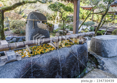冬の賀茂別雷神社（上賀茂神社）手水舎 134730439