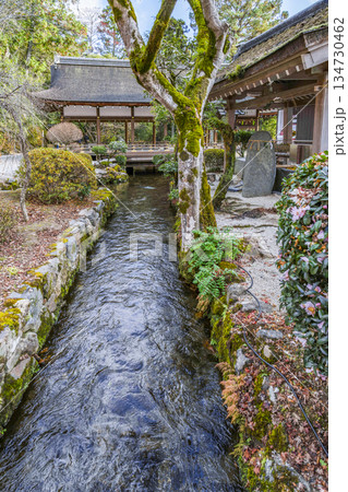 冬の賀茂別雷神社(上賀茂神社)橋殿 冬の賀茂別雷神社(上賀茂神社)橋殿 134730462