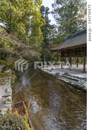 冬の賀茂別雷神社(上賀茂神社)楢の小川 冬の賀茂別雷神社(上賀茂神社)楢の小川 134730475