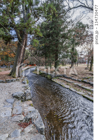 冬の賀茂別雷神社（上賀茂神社）楢の小川 134730477