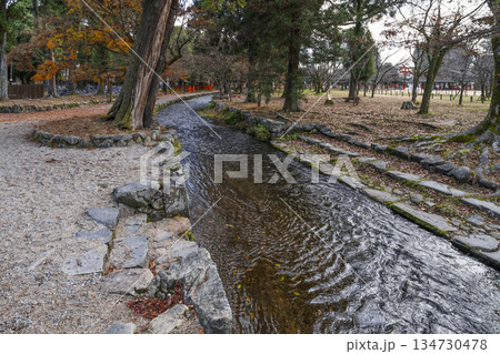 冬の賀茂別雷神社（上賀茂神社）楢の小川 134730478