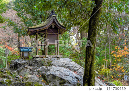 冬の賀茂別雷神社（上賀茂神社）岩本神社 134730489