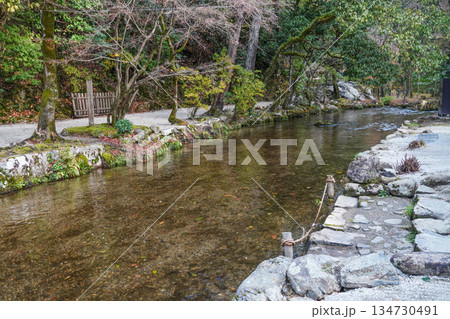 冬の賀茂別雷神社（上賀茂神社）楢の小川 134730491