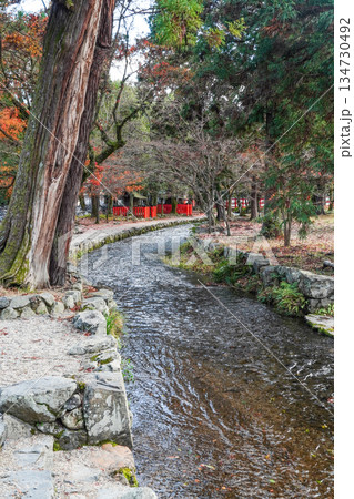 冬の賀茂別雷神社（上賀茂神社）楢の小川 134730492