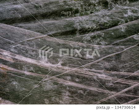Transparent fabric pleat texture spider web Transparent fabric pleat texture spider web 134730614