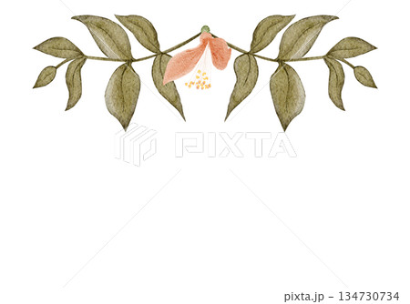 Floral frame horizontal border, peach blossoms, green leaves, watercolor hand-painted illustration isolated on white, botanical design ideal for wedding stationery, invitations, greeting cards Floral frame horizontal border, peach blossoms, green leaves, watercolor hand-painted illustration isolated on white, botanical design ideal for wedding stationery, invitations, greeting cards 134730734