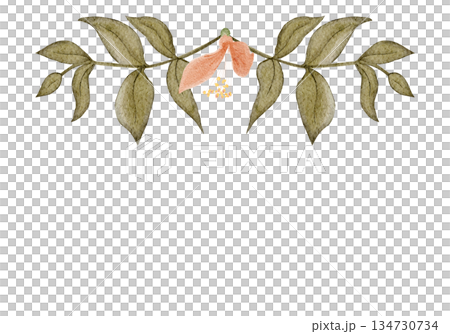 Floral frame horizontal border, peach blossoms, green leaves, watercolor hand-painted illustration isolated on white, botanical design ideal for wedding stationery, invitations, greeting cards Floral frame horizontal border, peach blossoms, green leaves, watercolor hand-painted illustration isolated on white, botanical design ideal for wedding stationery, invitations, greeting cards 134730734