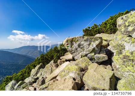 Autumn hiking trail on the ridge of Low Tatras mountains, Slovakia. 134730796