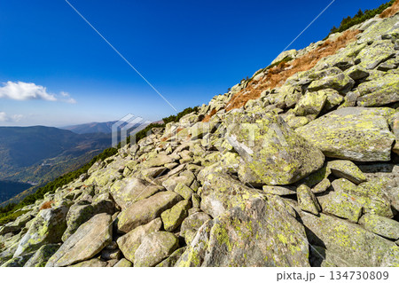 Autumn hiking trail on the ridge of Low Tatras mountains, Slovakia. 134730809