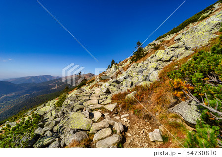Autumn hiking trail on the ridge of Low Tatras mountains, Slovakia. 134730810