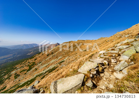 Autumn hiking trail on the ridge of Low Tatras mountains, Slovakia. 134730813