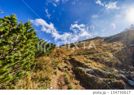 Autumn hiking trail on the ridge of Low Tatras mountains, Slovakia. 134730817