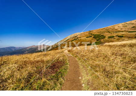 Autumn hiking trail on the ridge of Low Tatras mountains, Slovakia. 134730823