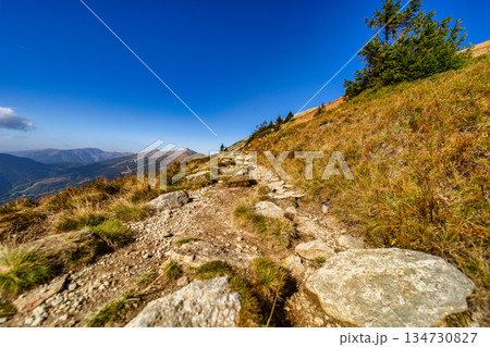 Autumn hiking trail on the ridge of Low Tatras mountains, Slovakia. 134730827
