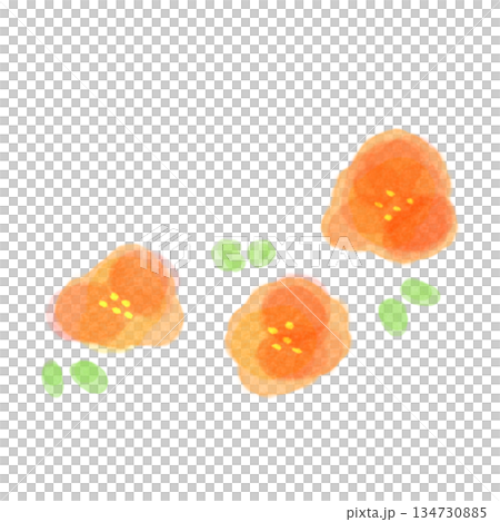 Simple watercolor red flower orange 134730885