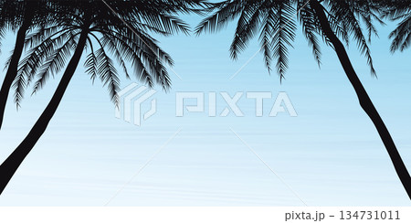 Silhouette palm trees with blue sky background graphic illustration have blank space. Silhouette palm trees with blue sky background graphic illustration have blank space. 134731011