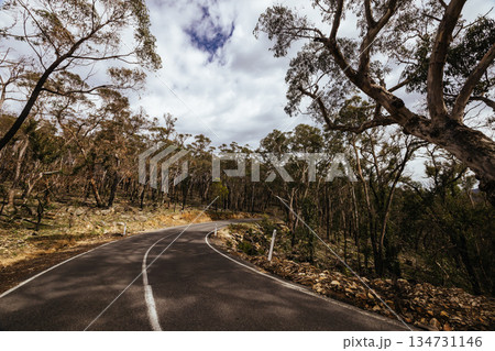 Bushfire Fire Damage in the Grampians 134731146