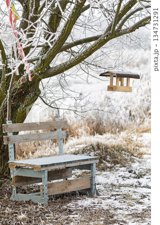 Winter Bench under a Frosted European Ash Tree in a Snowy Field, South Moravia, Czech Republic 134731291