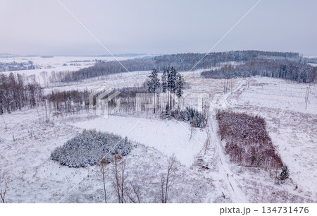 Winter Landscape in Czechia: Aerial View of Snowy Fields and Forests in Highlands Winter Landscape in Czechia: Aerial View of Snowy Fields and Forests in Highlands 134731476