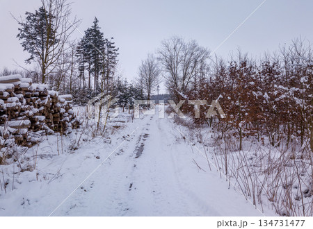 Snowy Forest Road in Winter in Highland, Vysocina, Czech Republic 134731477