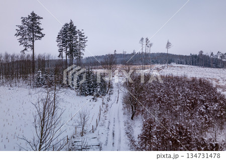 Winter landscape in snow-covered countryside in Czechia 134731478