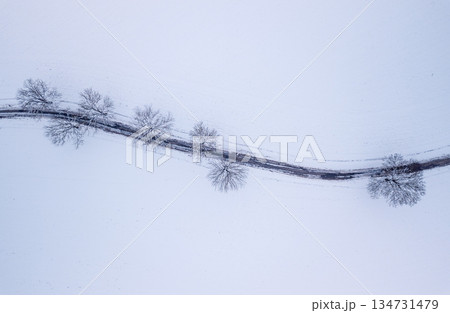 Winter Road in Highland, Czech Republic 134731479