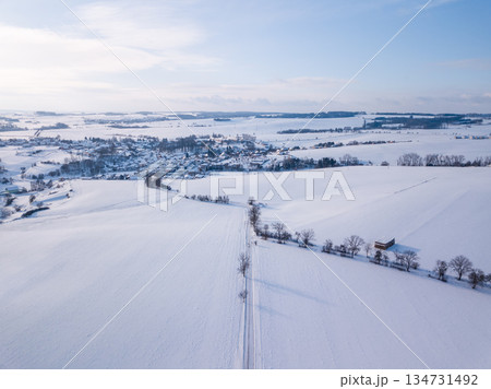 Aerial Winter Landscape in Czech Highlands 134731492