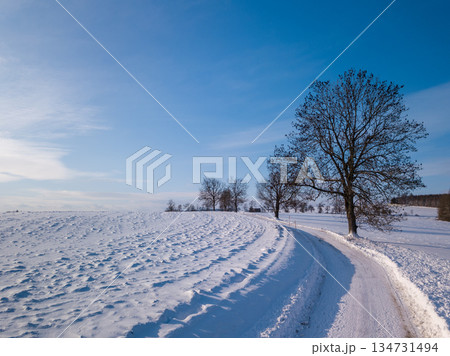 Winter Snow Path Leading to Trees Under Blue Sky, Highland, Vysocina, Czech Republic Winter Snow Path Leading to Trees Under Blue Sky, Highland, Vysocina, Czech Republic 134731494