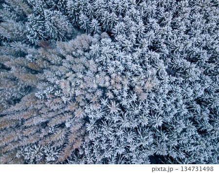 Aerial View of Snow-Covered Highland Forest in Czech Republic Aerial View of Snow-Covered Highland Forest in Czech Republic 134731498
