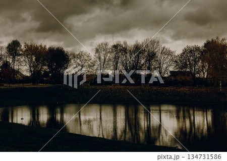Dramatic dark autumn landscape with bare trees and cloudy sky reflecting in calm lake water. Moody nature background for fall season, overcast weather 134731586